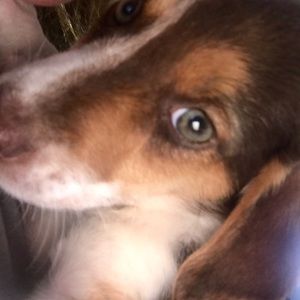 Meet your Posher, Eleanor